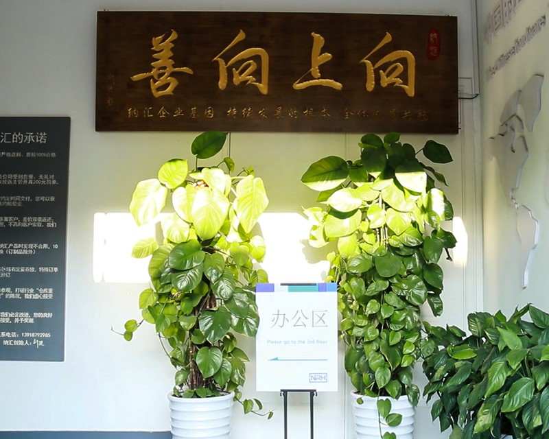 蜜桃视频APP在线观看